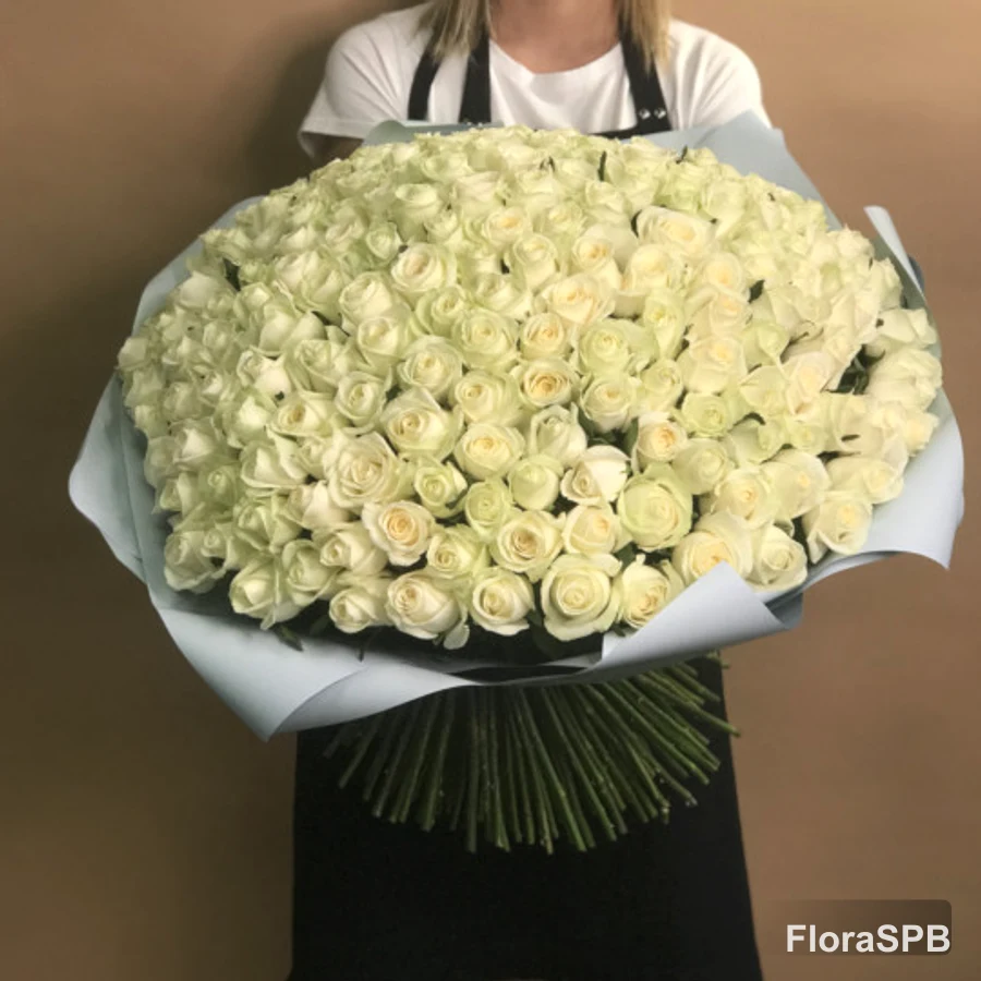 Букет «из 201 белой розы (60 см)»