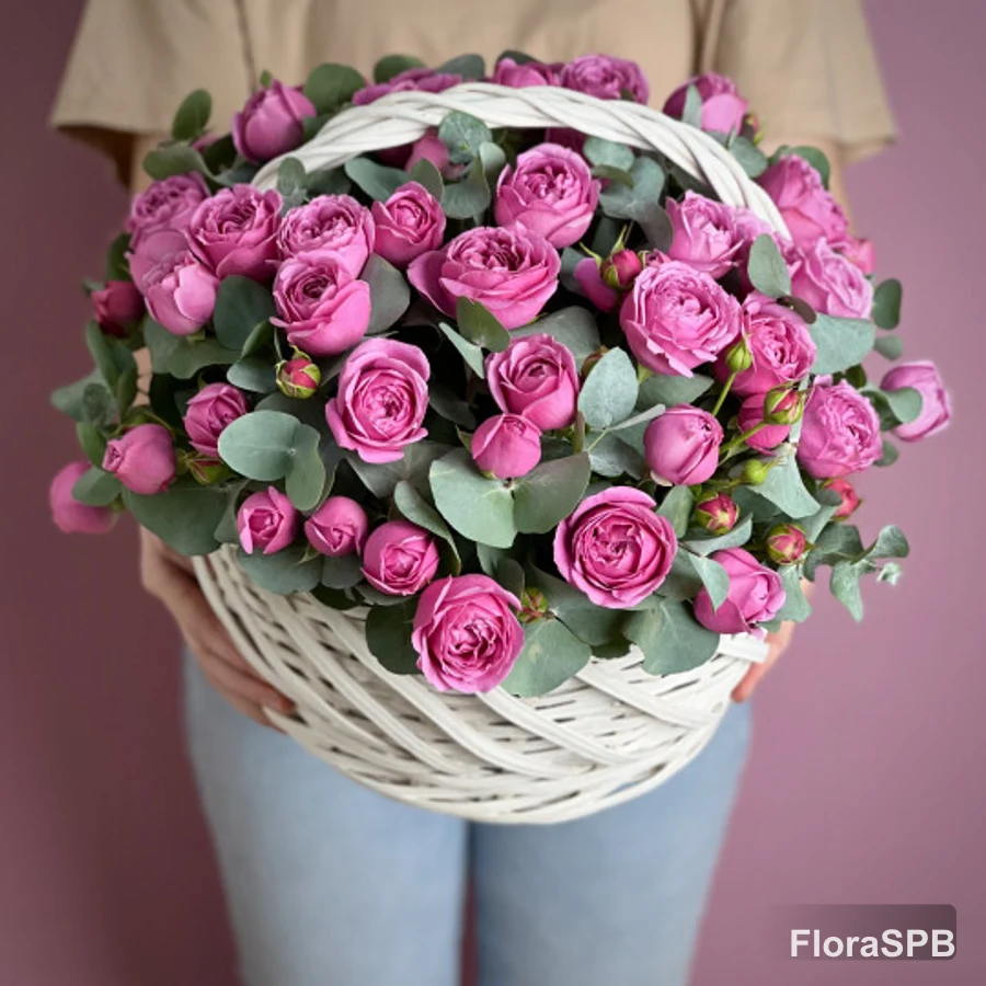 Малиновые кустовые пионовидные розы в ко...